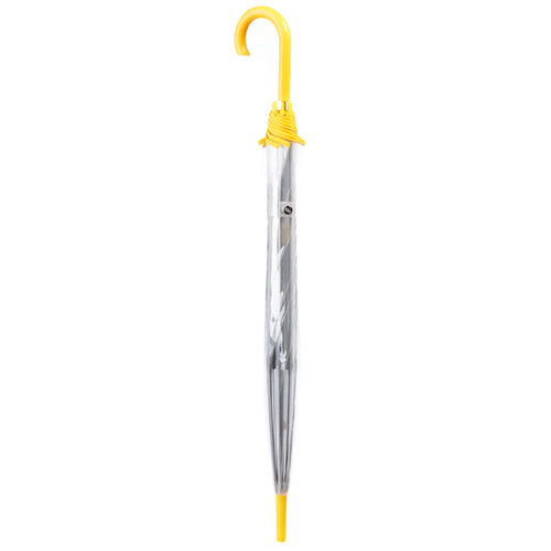 Clear Bubble Umbrella with Colorful Accents