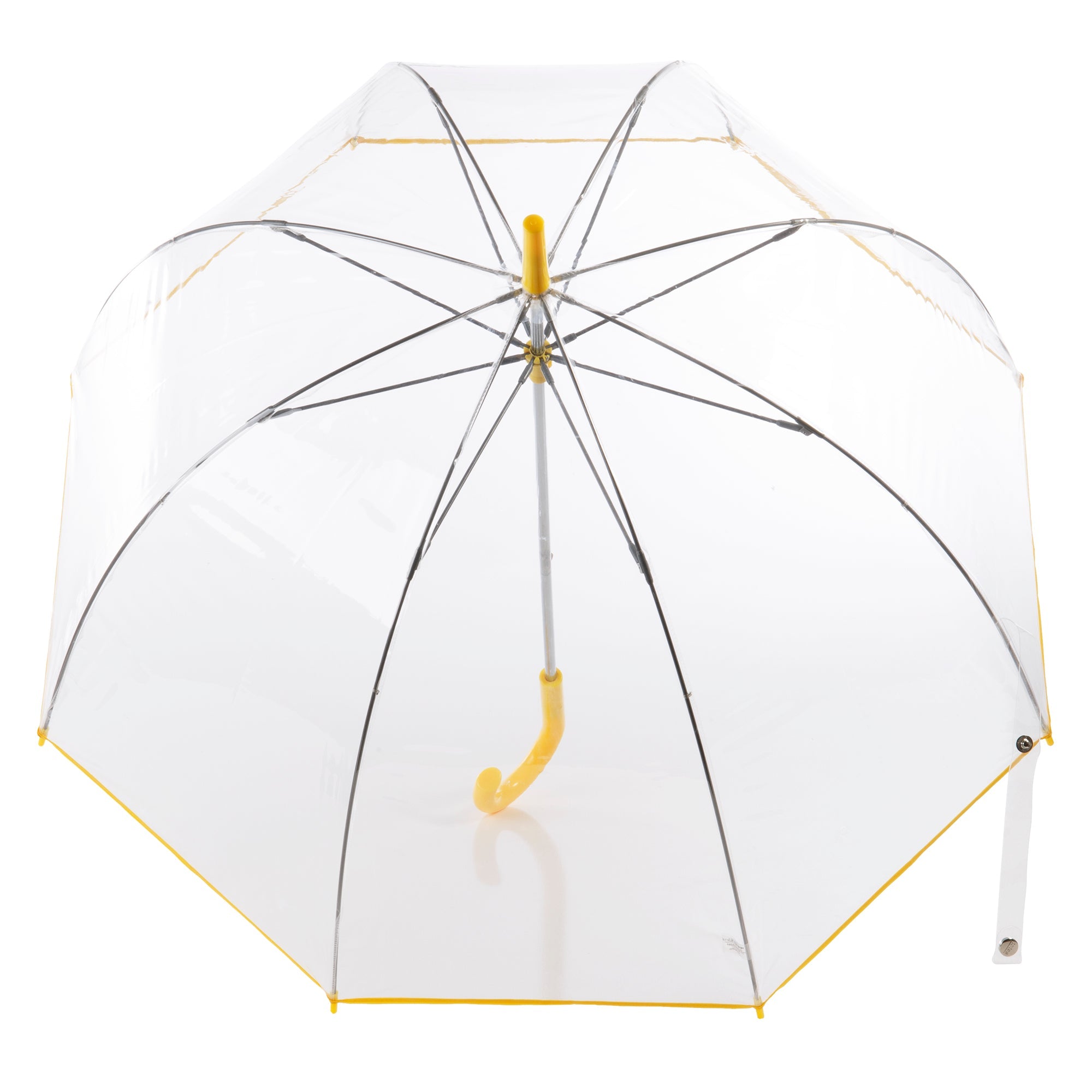 Clear Bubble Umbrella with Colorful Accents