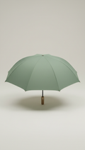 Sage Green Folding Umbrella